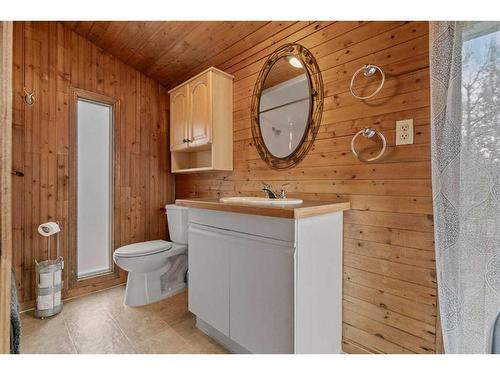 107-43249 Rr 220, Rural Camrose County, AB - Indoor Photo Showing Bathroom