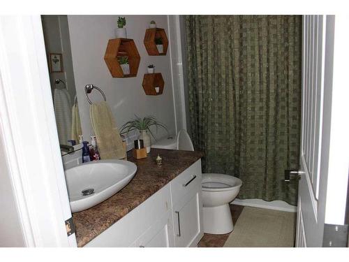 135-162 Peace River Avenue, Joussard, AB - Indoor Photo Showing Bathroom