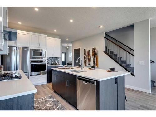 43 Creekside Grove Sw, Calgary, AB - Indoor Photo Showing Kitchen With Double Sink With Upgraded Kitchen