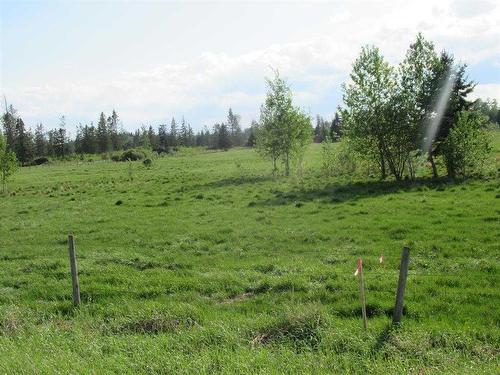 Range Road 4-1, Rural Ponoka County, AB 