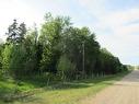 Range Road 4-1, Rural Ponoka County, AB 