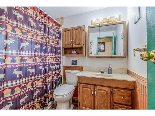 225-36078 Range Road 245A, Rural Red Deer County, AB - Indoor Photo Showing Bathroom