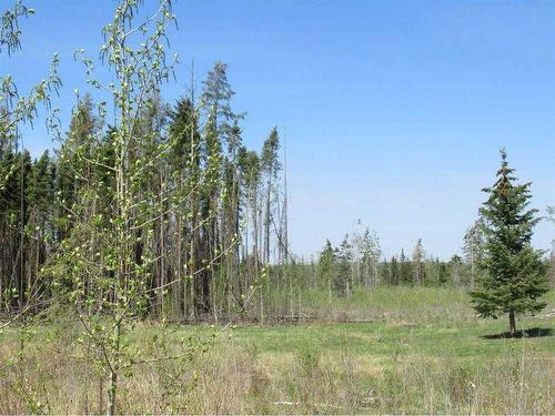 Range Road 4-1, Rural Ponoka County, AB 