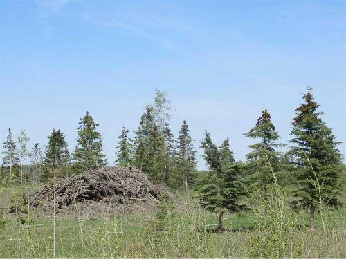 Range Road 4-1, Rural Ponoka County, AB 