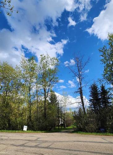 71037 Township Road 39-3, Rural Clearwater County, AB 