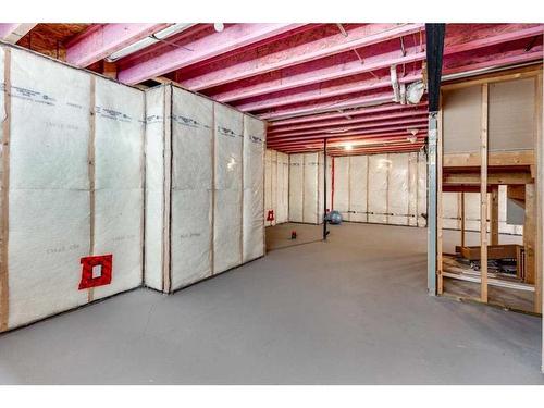 10 Silverberg Place, Red Deer, AB - Indoor Photo Showing Basement