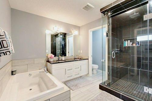 102 Caribou Crescent, Red Deer, AB - Indoor Photo Showing Bathroom