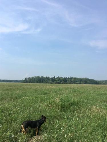 On Highway 771, Rural Ponoka County, AB 