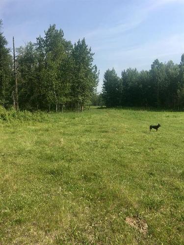 On Highway 771, Rural Ponoka County, AB 