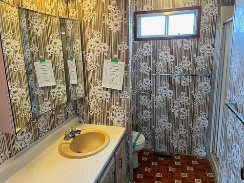 514 Queen Street, Elnora, AB - Indoor Photo Showing Bathroom