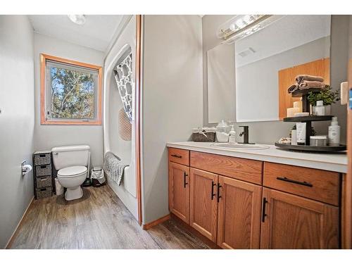 44567 Range Road 124, Rural Flagstaff County, AB - Indoor Photo Showing Bathroom