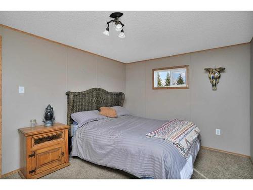420067 Range Road 252, Rural Ponoka County, AB - Indoor Photo Showing Bedroom
