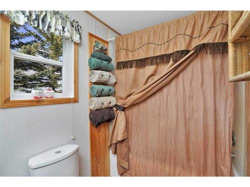 420067 Range Road 252, Rural Ponoka County, AB - Indoor Photo Showing Bathroom