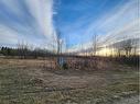 #28, 242075 Twp Rd 472, Rural Wetaskiwin No. 10, County Of, AB 