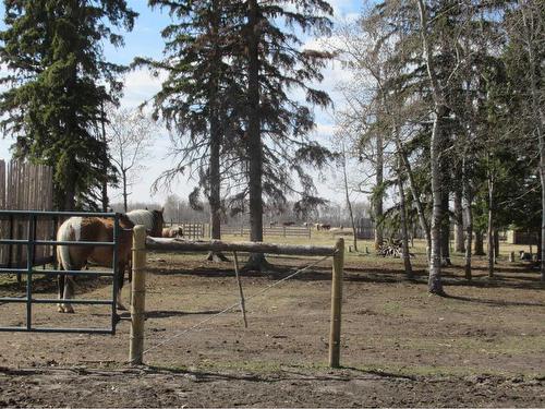 392066 6-0 Range Road, Rural Clearwater County, AB - Outdoor With View