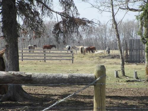 392066 6-0 Range Road, Rural Clearwater County, AB - Outdoor With View