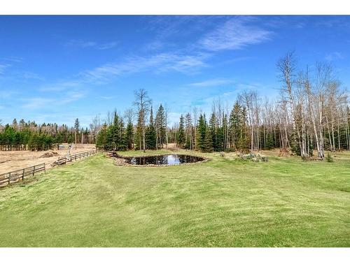 1 72076 Township Road 450, Rural Wetaskiwin No. 10, County Of, AB - Outdoor With View