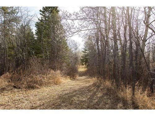 37 Morning Meadows Drive, Rural Ponoka County, AB - Outdoor With View