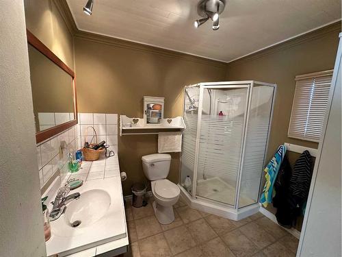 36104B Range Road 250, Rural Red Deer County, AB - Indoor Photo Showing Bathroom
