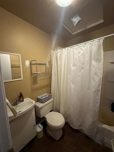 21057 Township Road 454, Rural Camrose County, AB - Indoor Photo Showing Bathroom