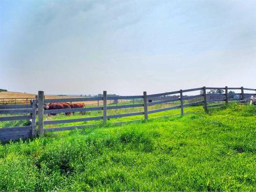 26539 Township Road 362 Township, Rural Red Deer County, AB - Outdoor
