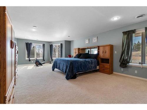 24572 South Pine Lake Road, Rural Red Deer County, AB - Indoor Photo Showing Bedroom