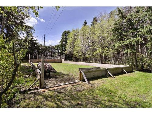 9 Cronquist Close, Red Deer, AB - Outdoor With Backyard