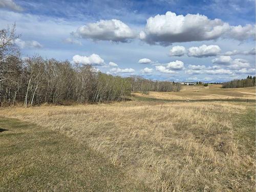 111 Wolf Run Drive, Rural Ponoka County, AB 