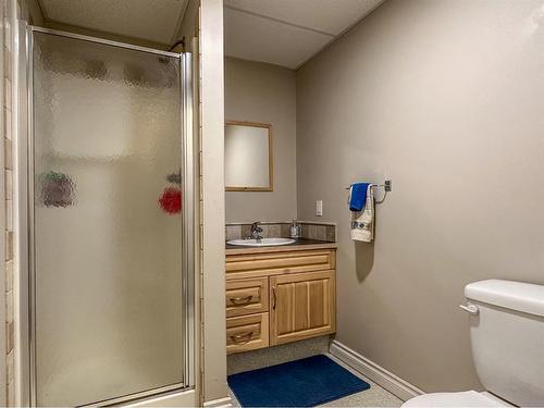 #2 Carlisle Road, Rural Stettler No. 6, County Of, AB - Indoor Photo Showing Bathroom