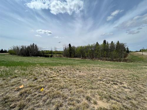 143 Wolf Run Drive, Rural Ponoka County, AB 