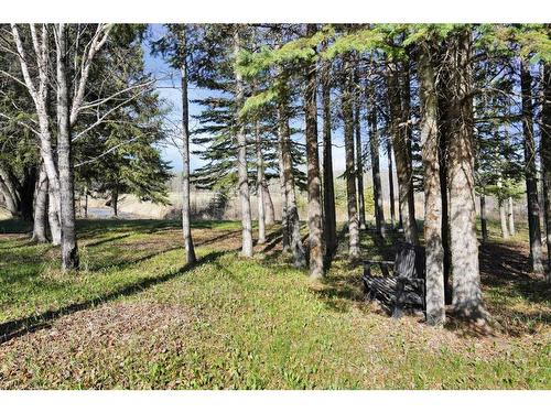 412008 Buster Creek Road, Rural Clearwater County, AB - Outdoor With View