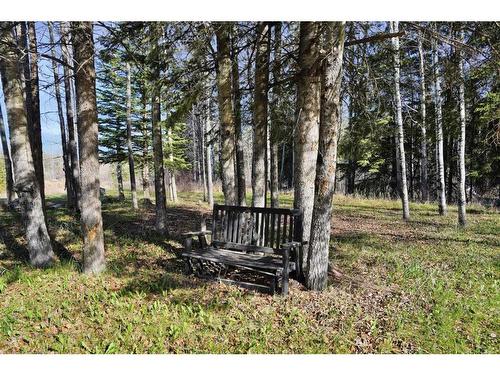 412008 Buster Creek Road, Rural Clearwater County, AB - Outdoor With View