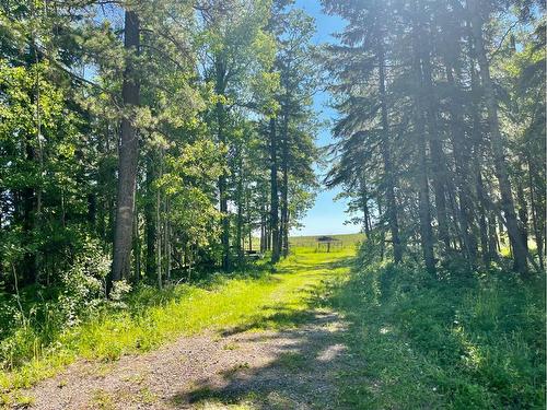 392041 Range Road 6-4, Rural Clearwater County, AB 