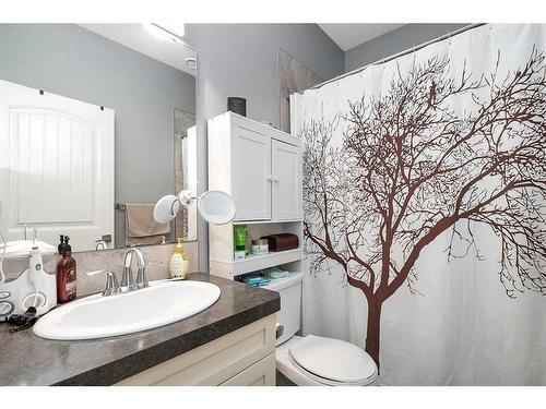 359 Webster Drive, Red Deer, AB - Indoor Photo Showing Bathroom