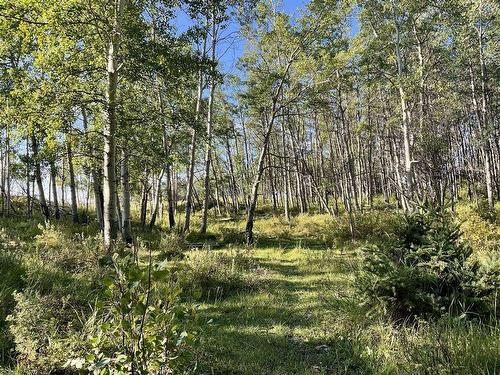 261028 Lochend Road, Rural Rocky View County, AB 