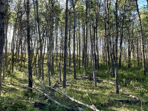 261028 Lochend Road, Rural Rocky View County, AB 