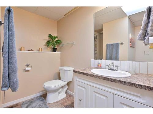 20-36075 Range Road 281, Rural Red Deer County, AB - Indoor Photo Showing Bathroom