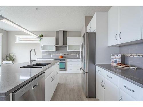 249 Walden Square Se, Calgary, AB - Indoor Photo Showing Kitchen With Double Sink With Upgraded Kitchen
