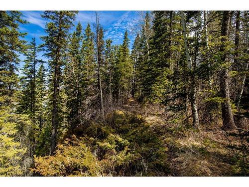 4808 64 Street, Rocky Mountain House, AB - Outdoor With View