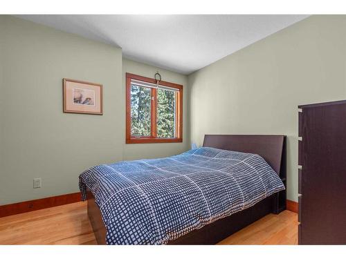 38032 C & E Trail, Rural Red Deer County, AB - Indoor Photo Showing Bedroom