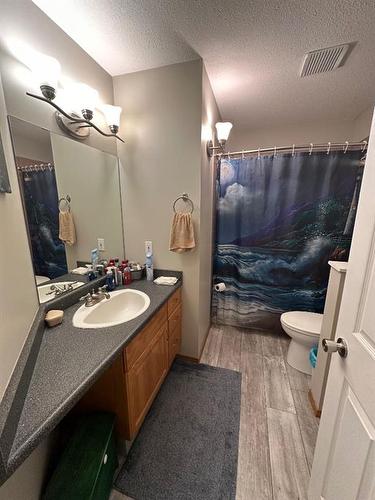 920 4 Avenue Se, Three Hills, AB - Indoor Photo Showing Bathroom