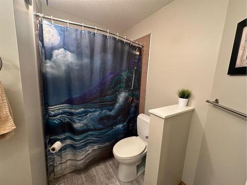 920 4 Avenue Se, Three Hills, AB - Indoor Photo Showing Bathroom