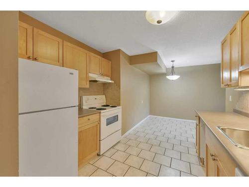 101-103 Hermary Street, Red Deer, AB - Indoor Photo Showing Kitchen