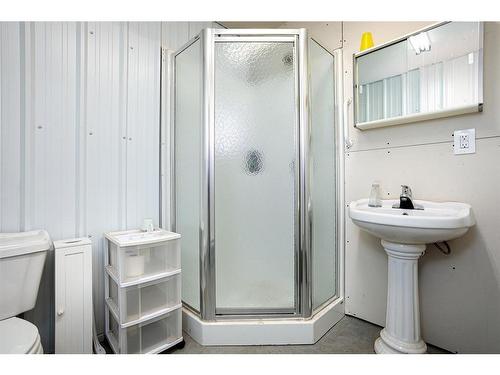 46180 Range Road 191, Rural Camrose County, AB - Indoor Photo Showing Bathroom
