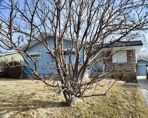 664 12 Avenue South, Carstairs, AB - Outdoor