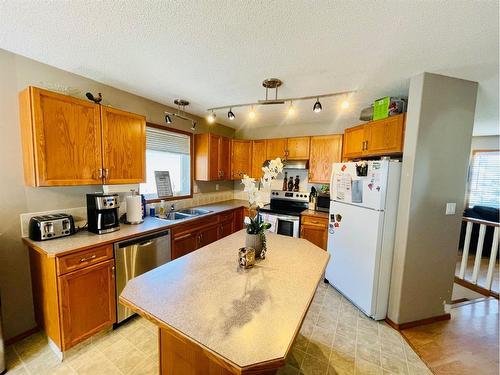 72 Lister Crescent, Red Deer, AB - Indoor Photo Showing Kitchen With Double Sink