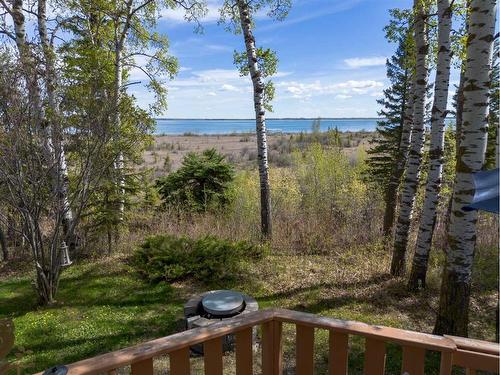 284-40422 Rge Rd 10, Gull Lake, AB - Outdoor With Balcony With View