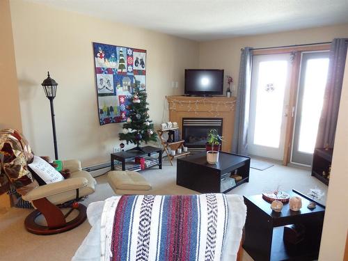 313-260 Duston Street, Red Deer, AB - Indoor Photo Showing Living Room With Fireplace