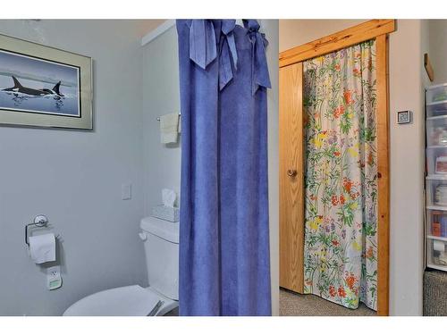 5008 54 Avenue, Bashaw, AB - Indoor Photo Showing Bathroom