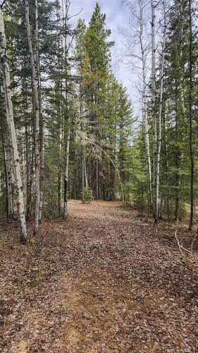 30207 Range Road 5-5, Cremona, AB - Outdoor With View